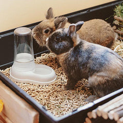 Ferplast Futter- oder Wasserspender für Hunde und Katzen AZIMUT 600 Futtertrog Water 0,6 liter, Rutschfester Boden, 12,5 x 19 x ma 19,5 cm kék