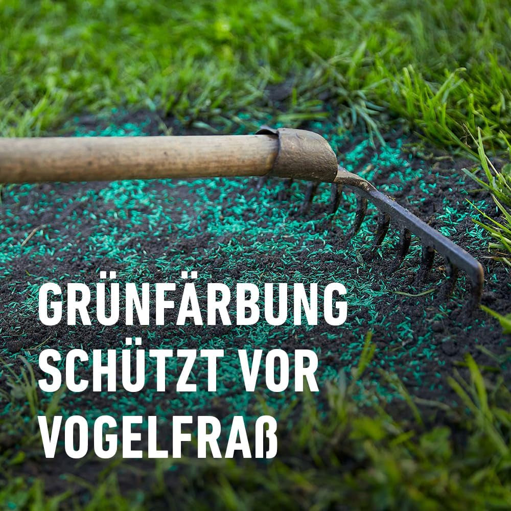 COMPO SAAT Strapazier-Rasen - Regenerationsstarker Strapazierrasen - Hochwertige Saatgutmischung Mit Premium-Mantelsaat - 2 Kg Für 100 M²