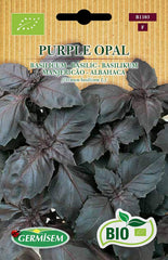 Basilikum PURPLE OPAL, ECBIO1103