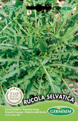 Rucola CULTIVATA Mehrfarbig