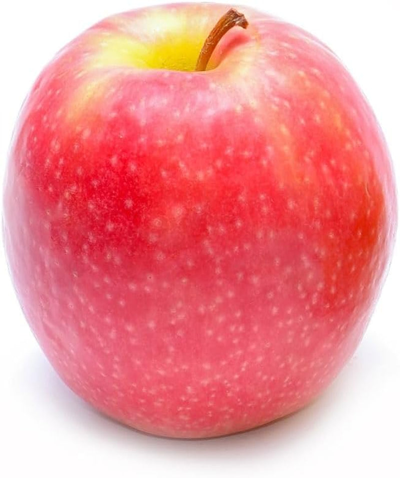 Apfelbaum Sorte Rosa Di Caldaro – Obstpflanze Im Topf Ø 24–26 Cm – Höhe Max. 180 Cm – Alter 4 Jahre – Italienische Baumschule
