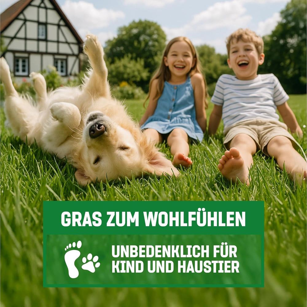 Gardengloss Rasensamen Schnellkeimend Herbst 0,5Kg - Made in Germany - 25M2 Fläche Rasen - Grassamen Turbo Nachsaat Und Neuanlage - Rasennachsaat