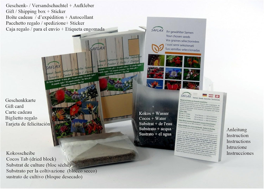 SAFLAX - BIO - Pitypang - 400 mag - Taraxacum officinale