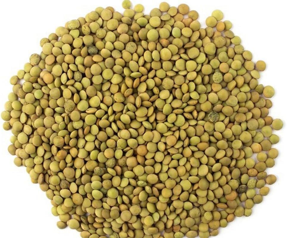 Zöld lencse – Laird Variety, 1 kg-os kiszerelés | Prémium minőség, egész lencse | Fehérjében és rostban gazdag | Vegán, nem GMO | Ideális levesekhez, salátákhoz, currykhoz és ételek elkészítéséhez