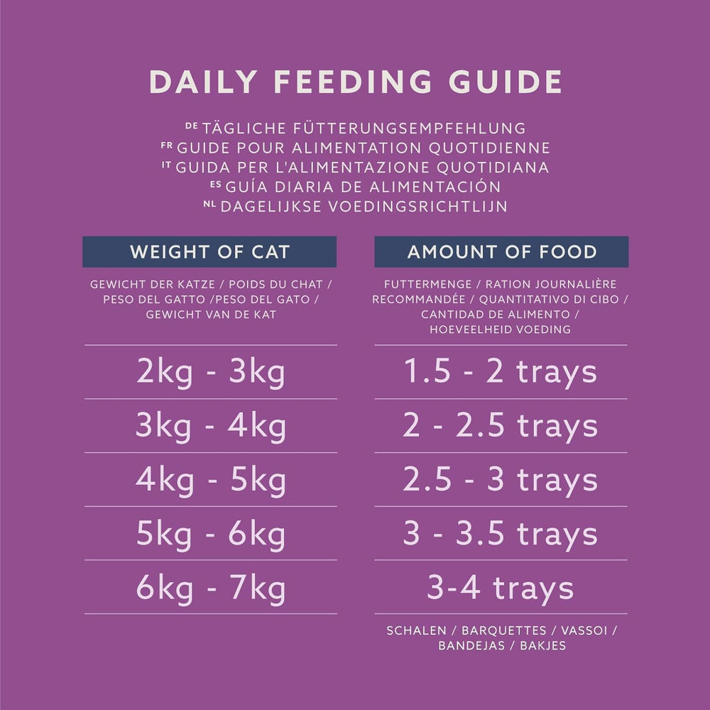 Lifelong by Amazon Katzenfutter, nass, Pastete mit Geflügel, 100 g, 16 Stück