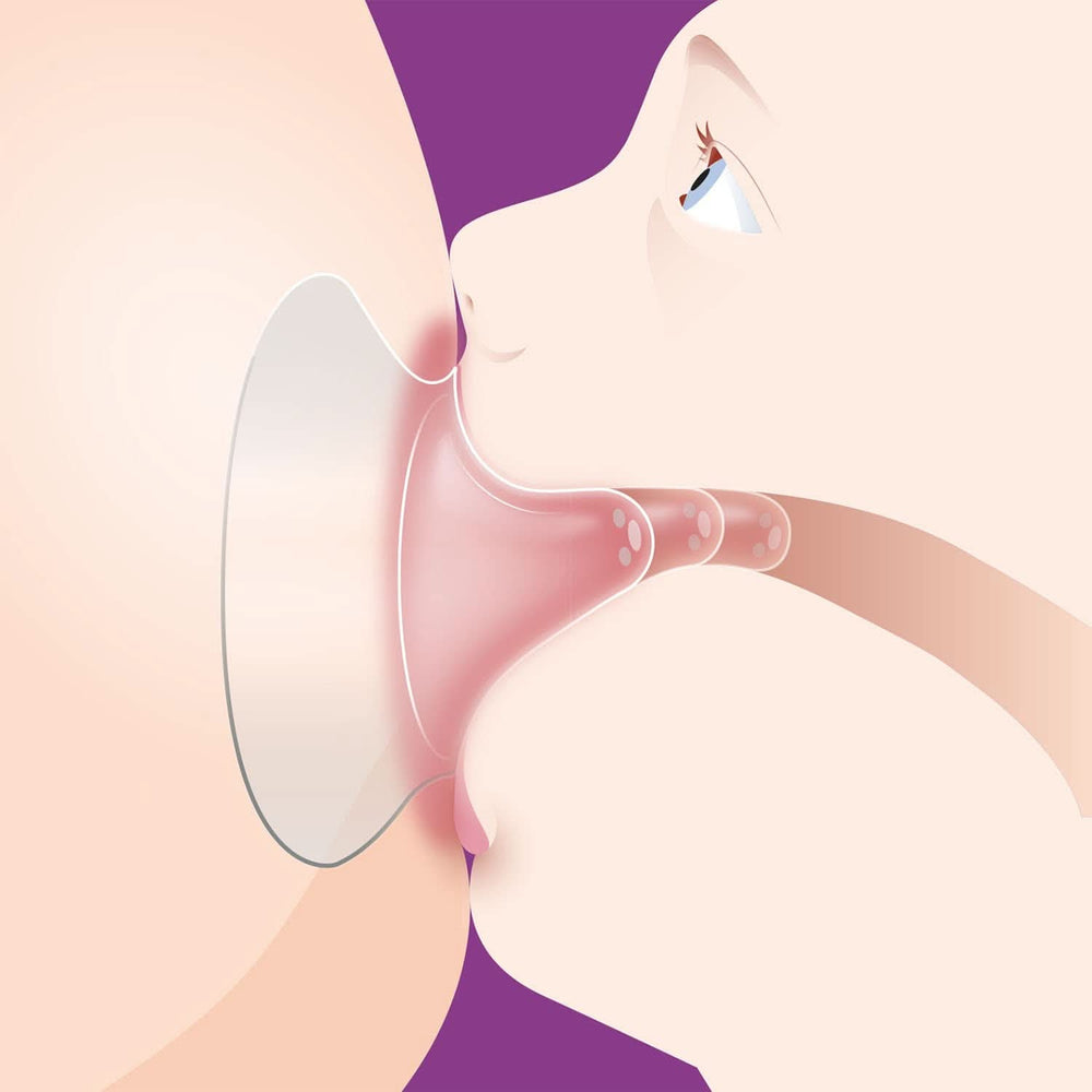 Philips Avent mellbimbóvédő (SCF153/03 modell) Kiegészítők Élelmiszer és szoptatás Bebe Naty Shop