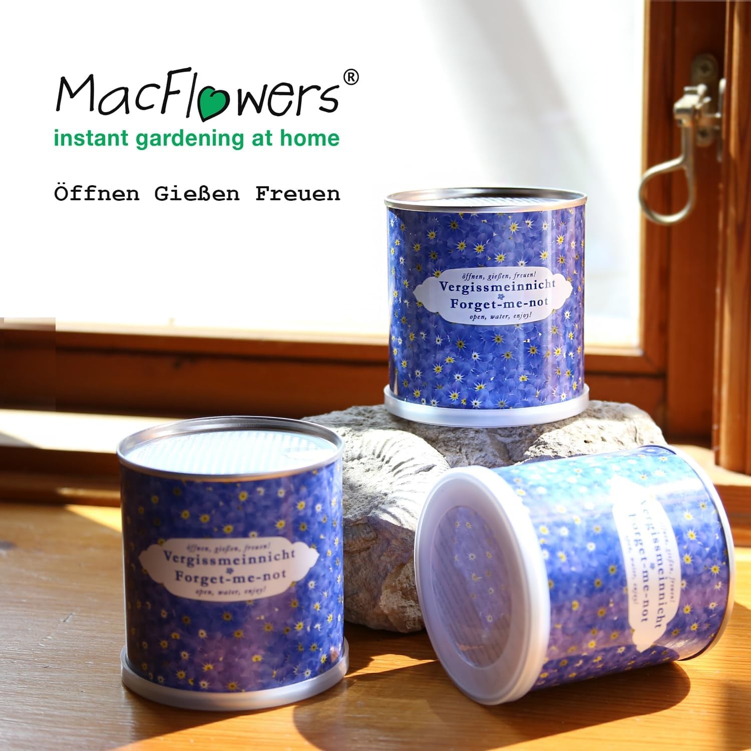 Ne nézz rám virágládában | Növekedési készlet különleges ajándékként | Nyissa ki, víz, élvezze | Búcsúzóul vagy köszönetképpen