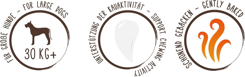 Sammy müzli érméi | Ropogós sült snackek kutyáknak | 5 gabonás müzli érme nagy szőrös barátjának (30 kg+) | 1 kg