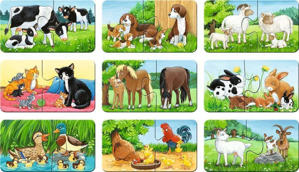 Ravensburger Puzzle pentru copii - 05072 Familii de animale la fermă - Primul meu puzzle cu 9X2 piese - Puzzle pentru copii de la 2 ani Puzzle Naty Shop