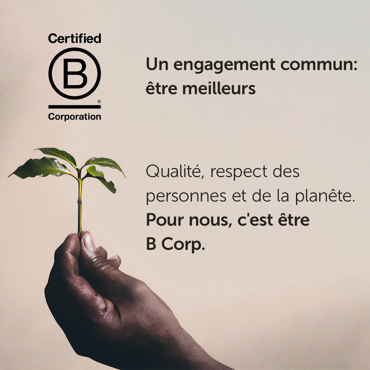 Boabe de cafea Illy, selecție de boabe de cafea Arabica, Guatemala, pachet de 6 (6 X 250 G) Cafea Naty Shop