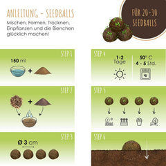 Samenbomben Selber Machen Für Eine Bunte Bienenweide - Bienenfreundlicher Seedbomb Bausatz Für 20-30 Seedbombs