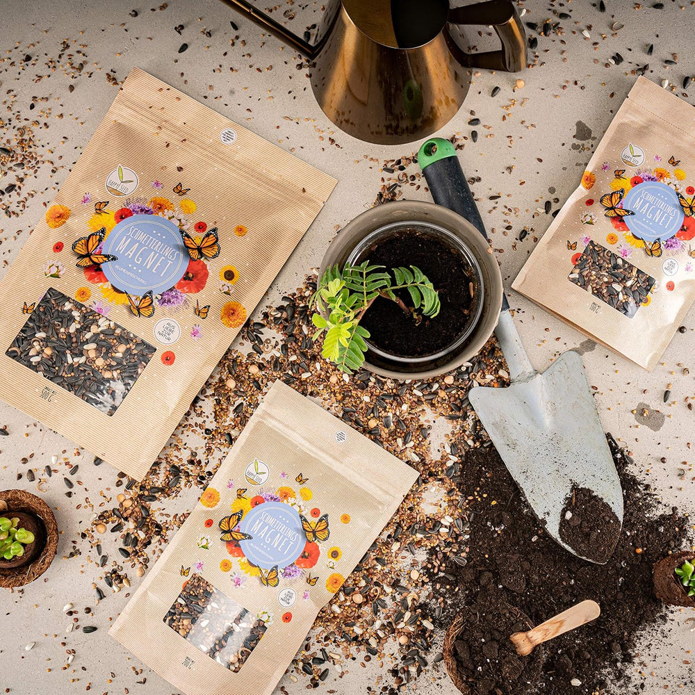 100 g pillangómag egy színes virágos réthez - Színes és nektárban gazdag vadvirágmag keverék pillangóknak