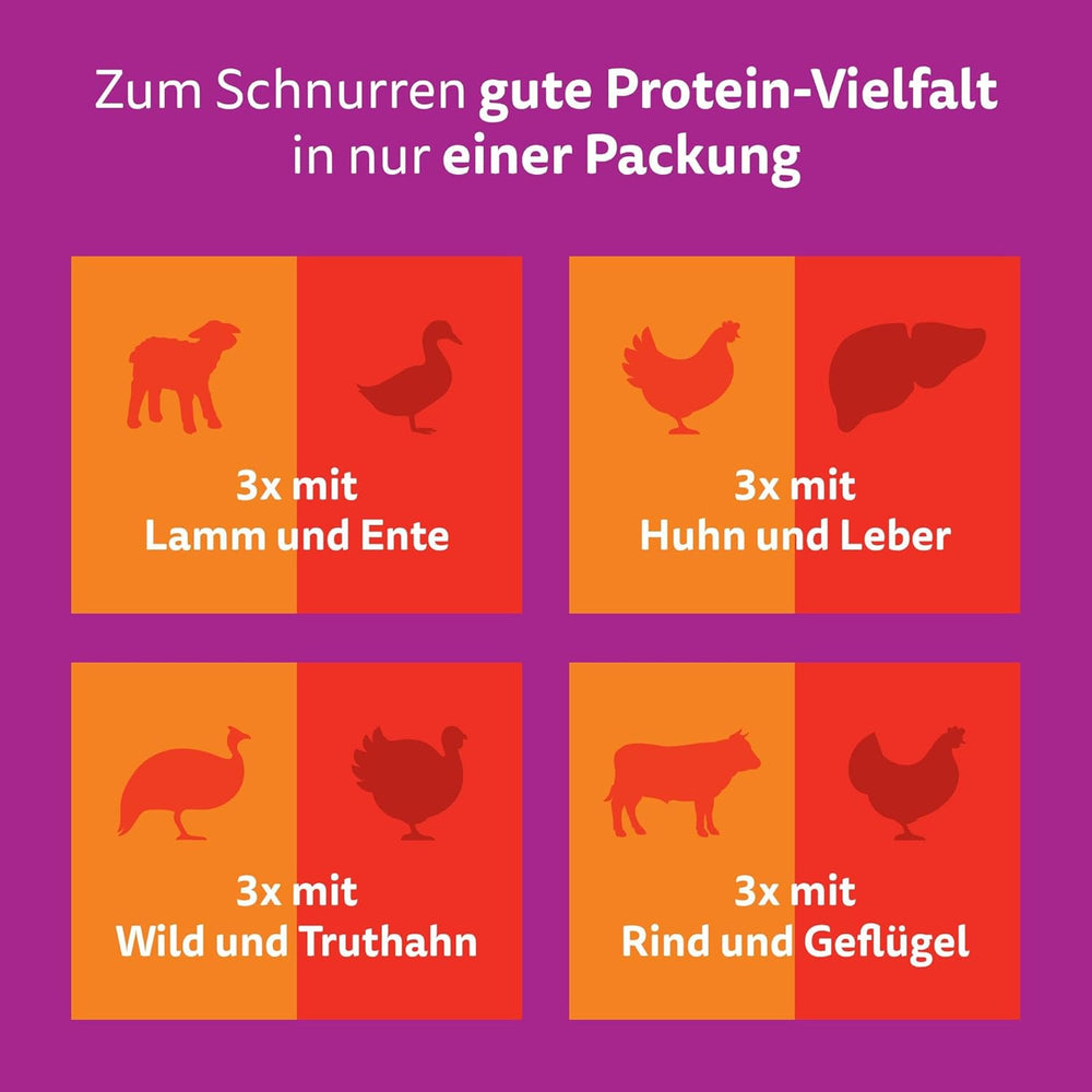 WHISKAS Duo Pliculețe pentru Porții de Hrană Umedă, Pachet Multiplu, Combinație Clasică în Jeleu, 12 x 85g
