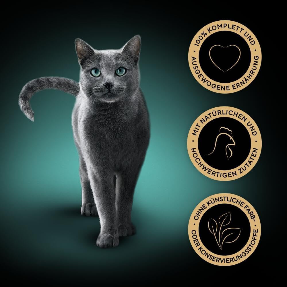 SHEBA Bowl Hrană umedă pentru pisici Finesse Fine Pâté With Chicken 22 X 85G