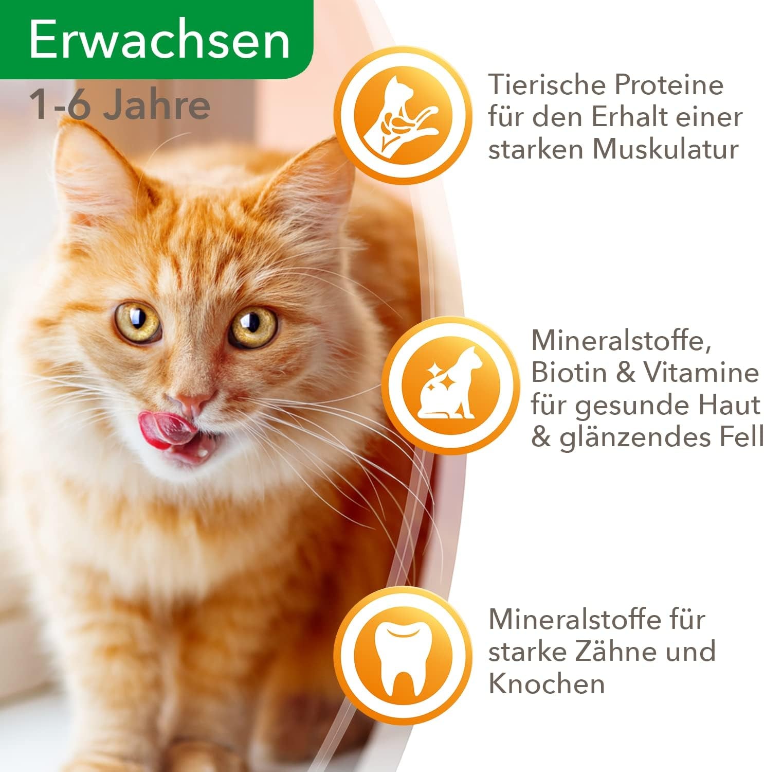 IAMS Delights Hrană umedă pentru pisici cu vită suculentă și morcovi în jeleu - Hrană umedă completă pentru pisici adulte, 24 pliculețe x 85g