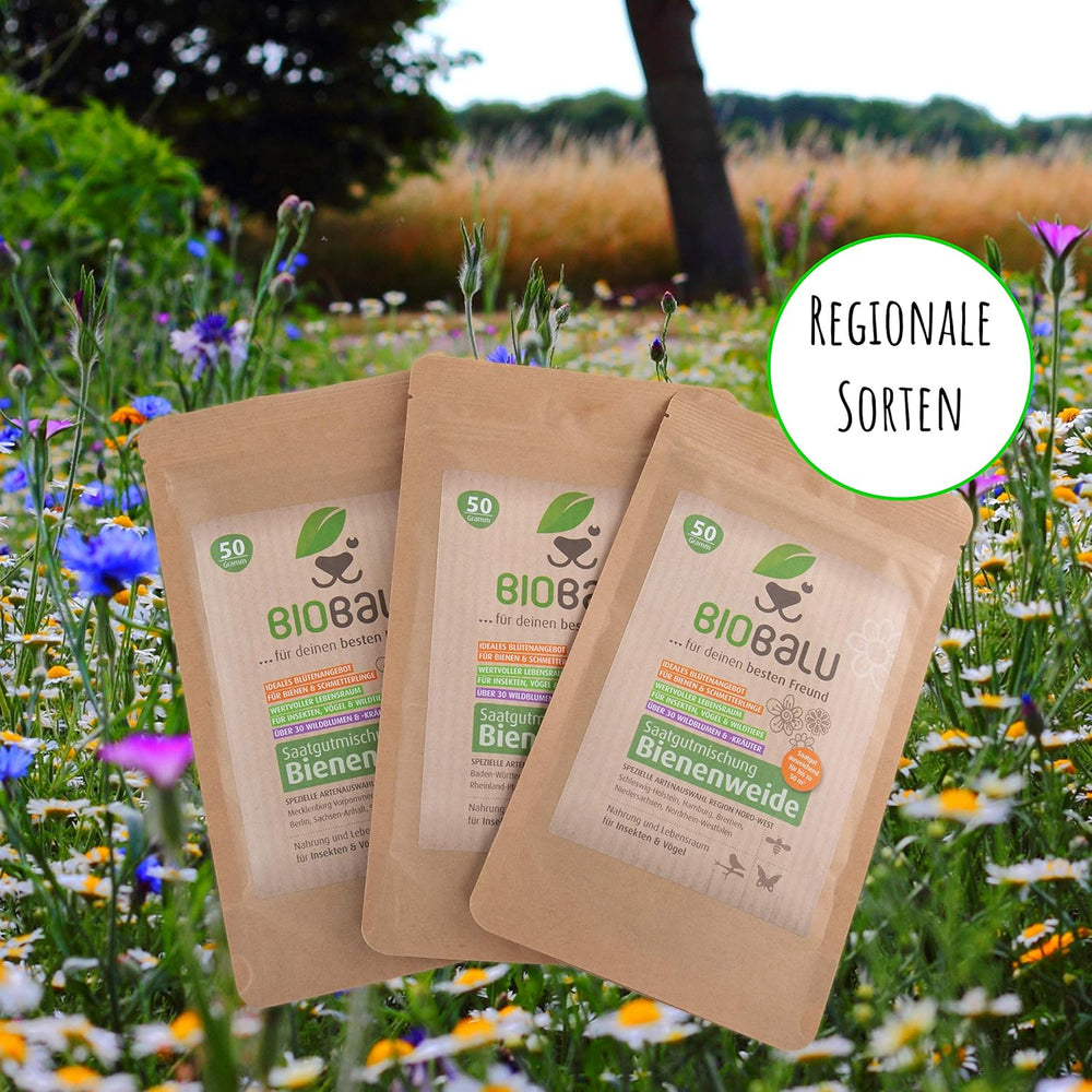 Méhmagok - réti vadvirágok, évelő és télálló, magvak - több mint 40 őshonos virág és vadon termő fűszernövény, különleges fajválogatás Dél-Németország számára, 50g