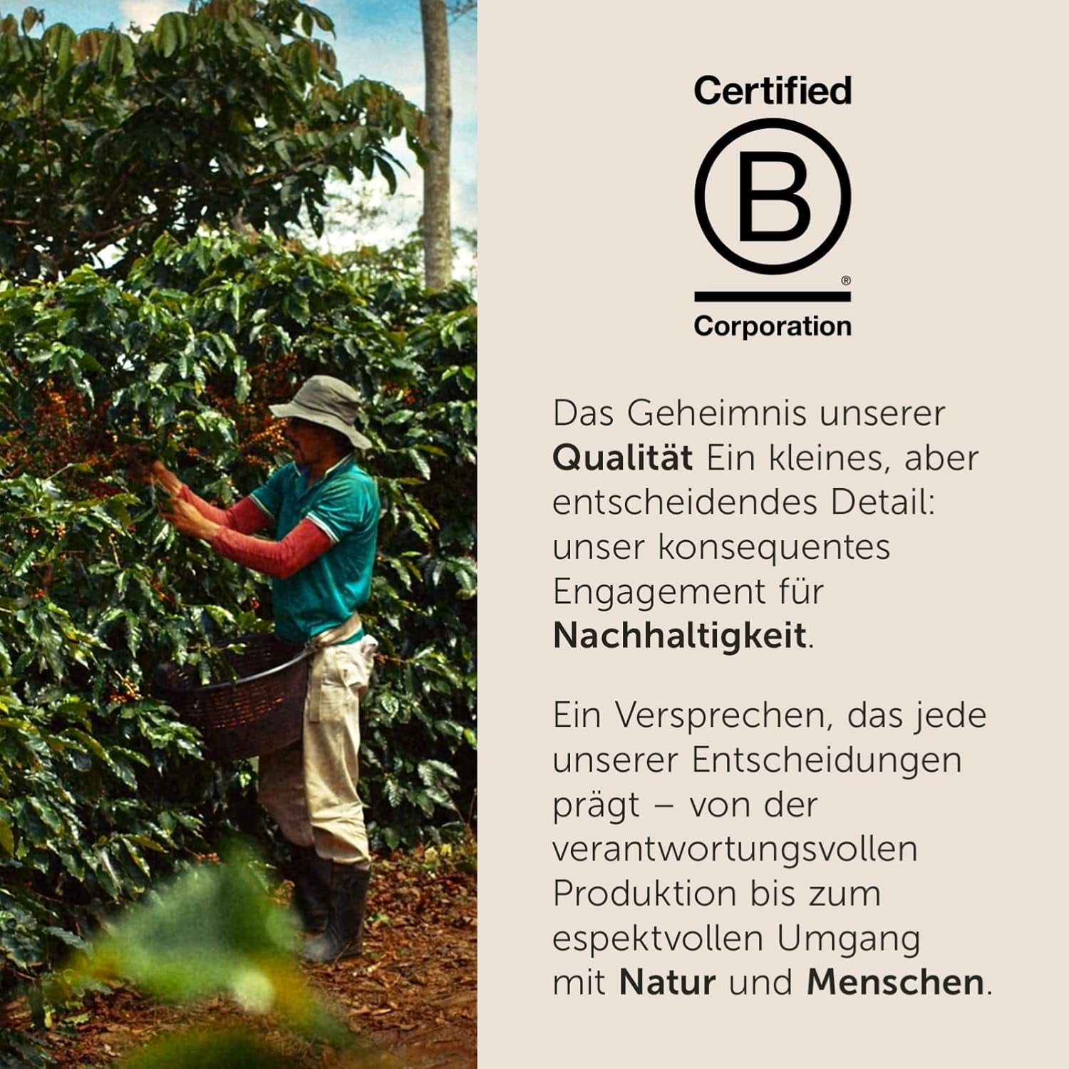 illy, Kompatible Aluminium-Kaffeekapseln CLASSICO, 100 % Arabica mit Noten von Orangenblüten und Jasmin, Sanfter Geschmack und Süßer Nachgeschmack, 10 Packungen mit 10 Kapseln (100 insgesamt)