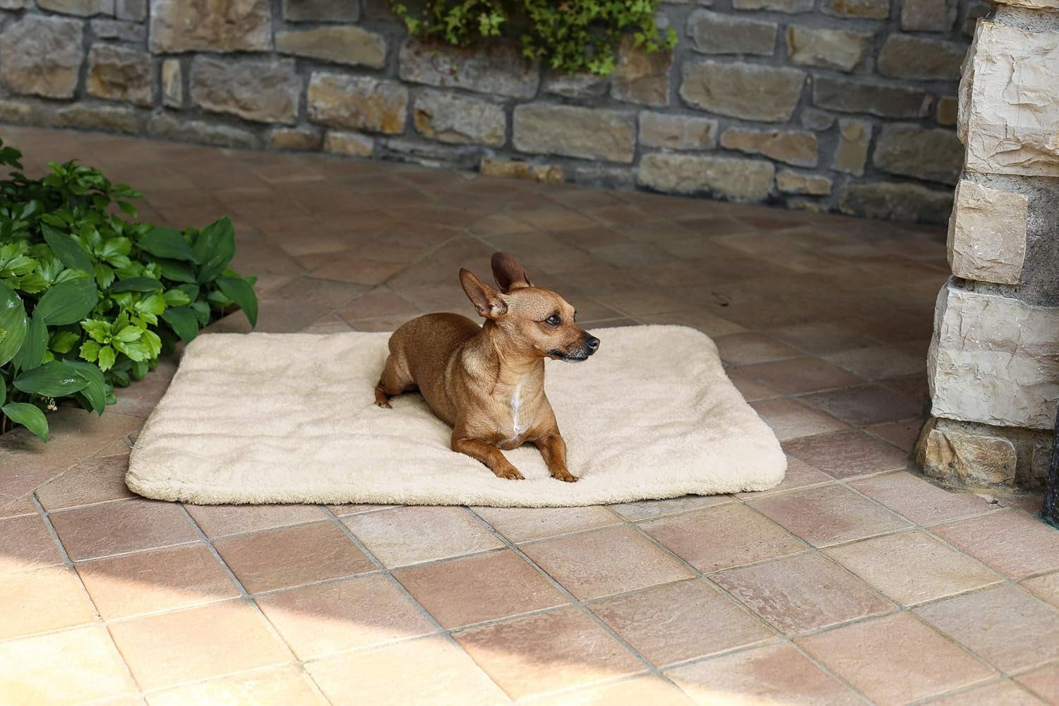 Sogni E Capricci Super Soft szőnyeg, krém, 104x75 cm, poliészter, paplanok és paplanok Naty Shop krém 104x75 cm