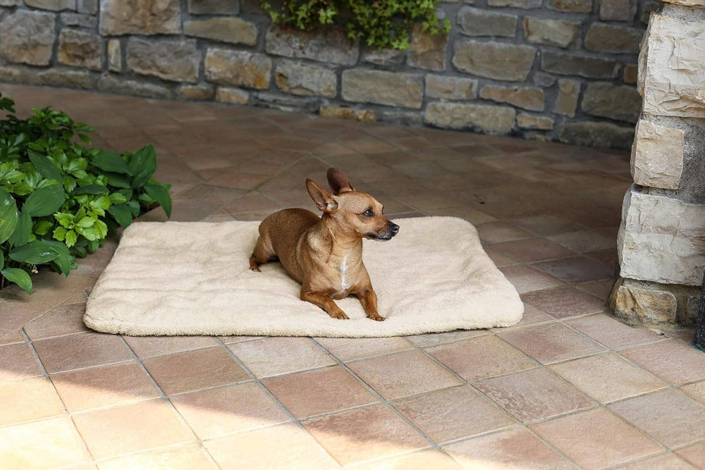 Sogni E Capricci Super Soft szőnyeg, krém, 104x75 cm, poliészter, paplanok és paplanok Naty Shop krém 104x75 cm