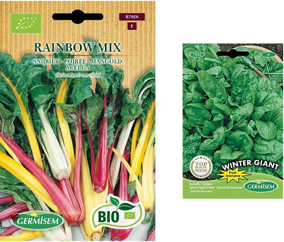 Mangold RAINBOW MIX & Spinat WINTER GIANT