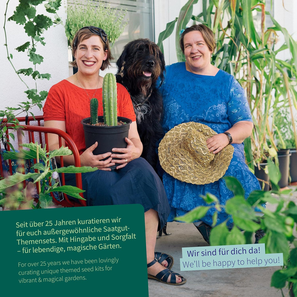 Varázskerti magvak – A kolostorkert: zöldségek és fűszernövények a középkorból – 9 történelmi kulináris, gyógyászati ​​és kerti magdoboz