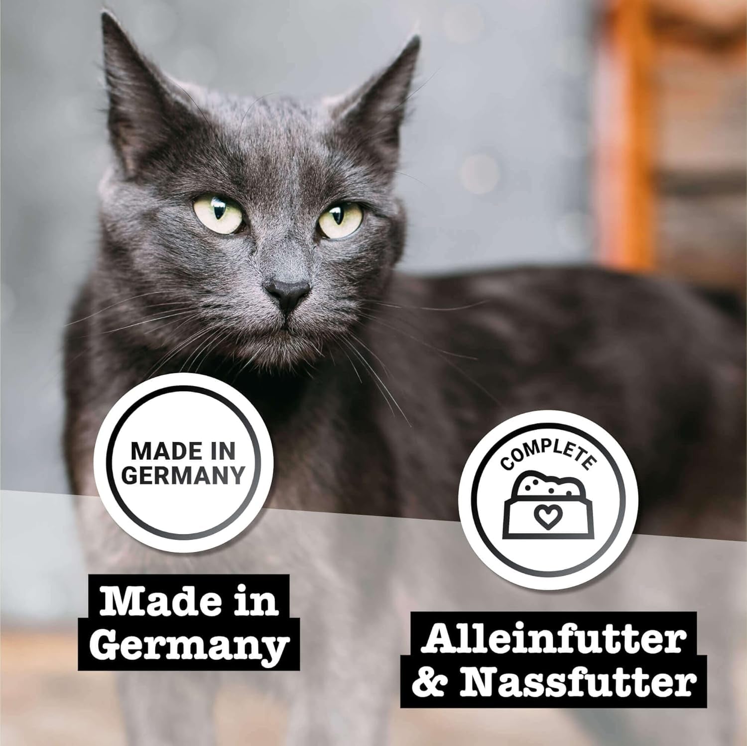 Hrană umedă pentru pisici Catz Finefood Purrrr Horse Monoprotein nr. 123, pentru pisici cu digestie sensibilă, conținut de carne de 70%, 6 cutii x 400 g