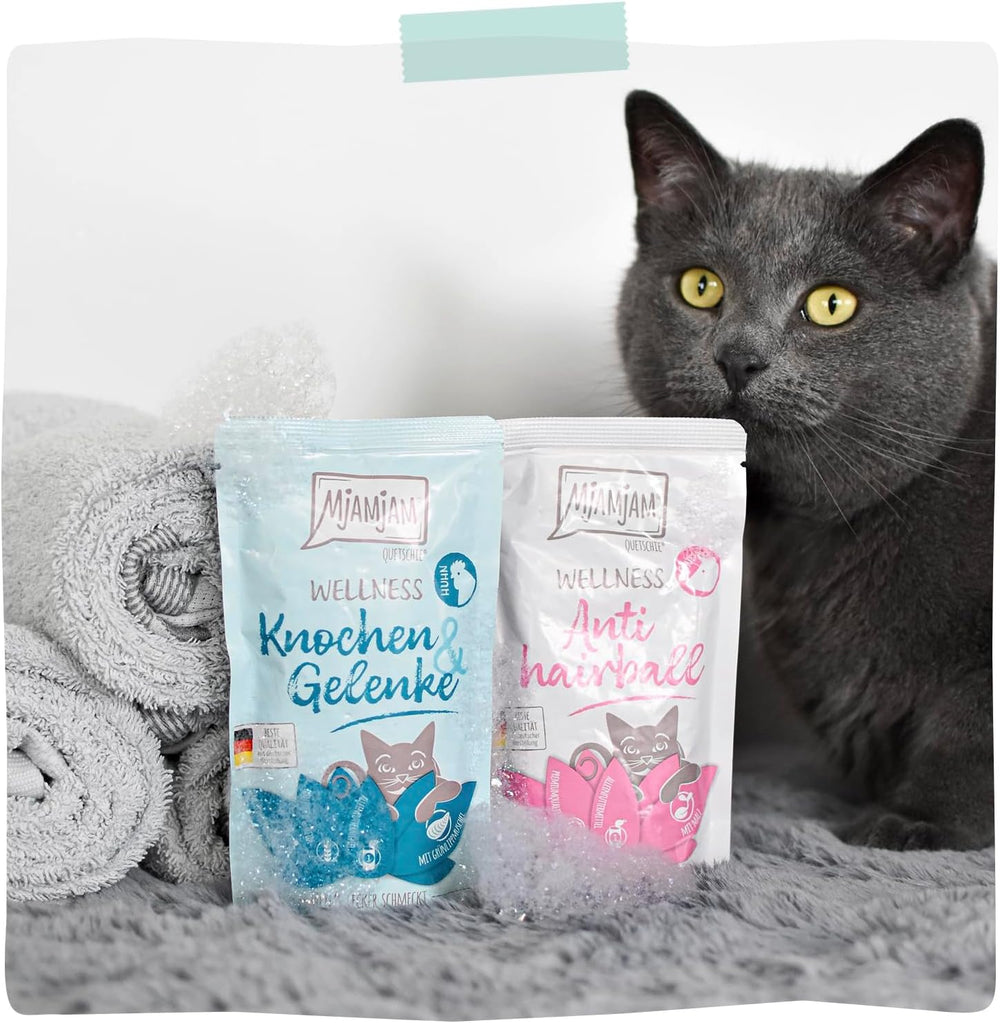 MjAMjAM - Hrană umedă premium pentru pisici - Wellness - Digestivă - Vită, pachet de 12 (12 x 125g), fără cereale