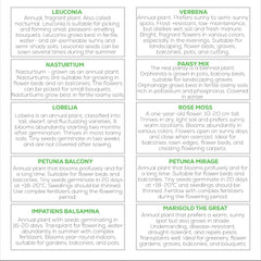 Nojus virágmag készlet - 10 fajta virágmag - Erkélyes virágmag - Színes növényi magvak - 10 csomag - Vadvirágmagok - Virágmag tasakok - Ideális virágmag ajándék