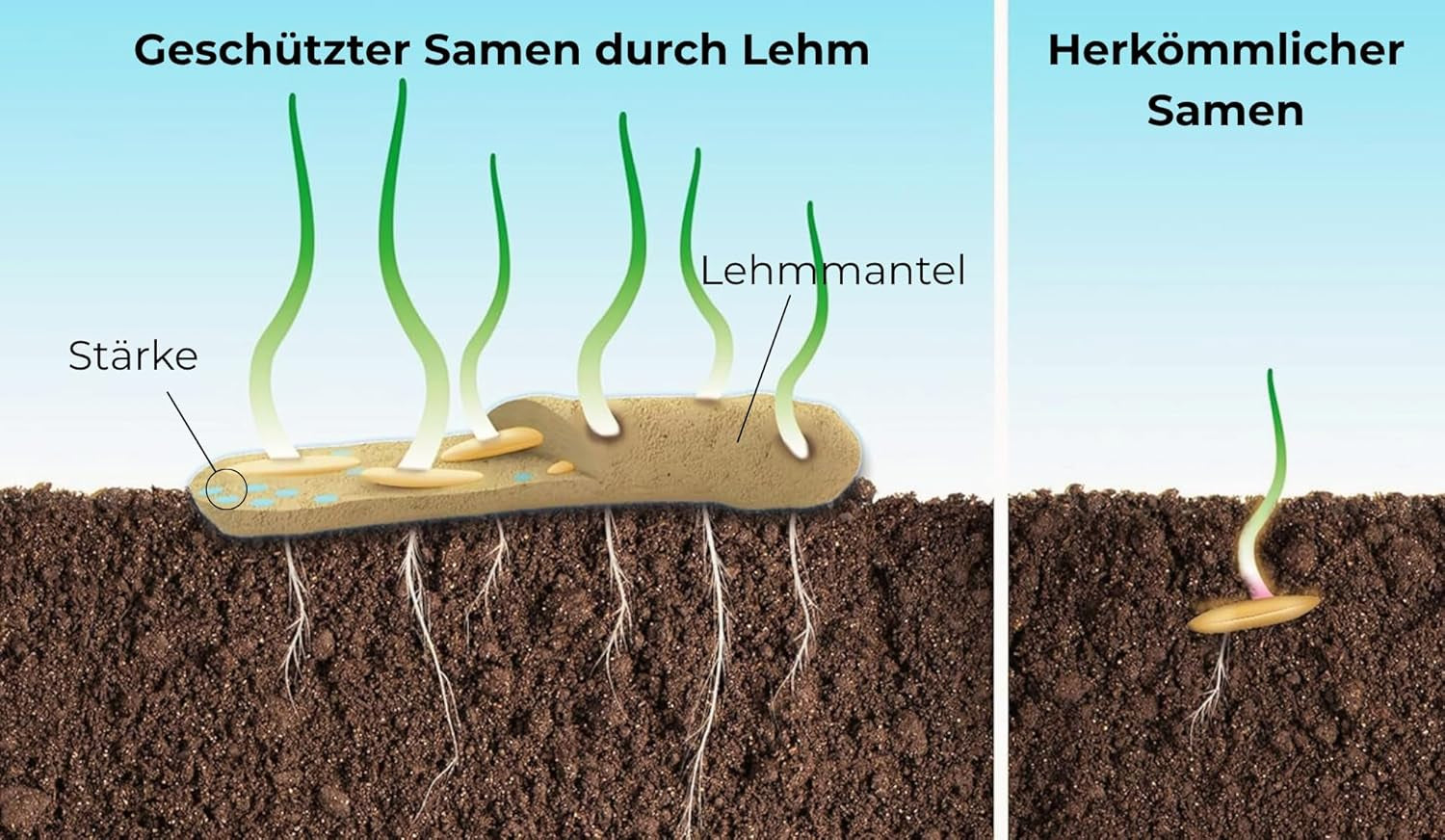 Virágmagok agyagvédő bevonatban méheknek és lepkéknek, 400g. Évelő és télálló növények, amelyek 20 m²-es virágzó tájat alkotnak. Gyönyörű vadvirág magvak színes méhlegelőhöz. Ajándék gyerekeknek.