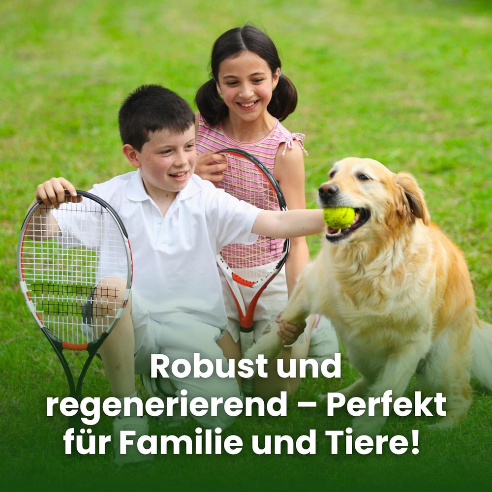 LERAVA CHAMPION Rasensamen (30 M²) - Trockenresistent & Trittfest - Schnellkeimender Grassamen Für Dichten Rasen - Strapazierfähige Nachsaat Herbst - Ideal Für Spiel- & Sportrasen