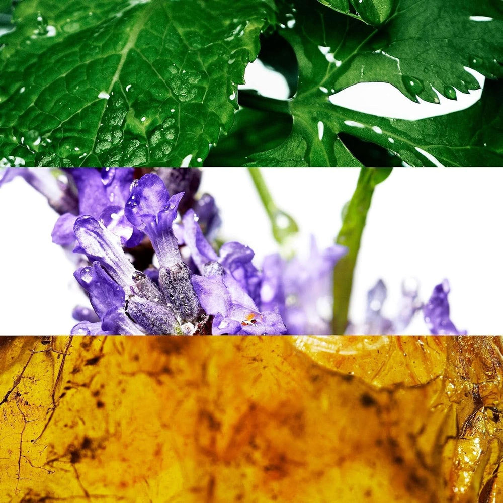 DAVIDOFF tusfürdő friss koriander, levendula, zöld jegyekkel férfiaknak, 150 ml Zuhany és fürdő Naty Shop