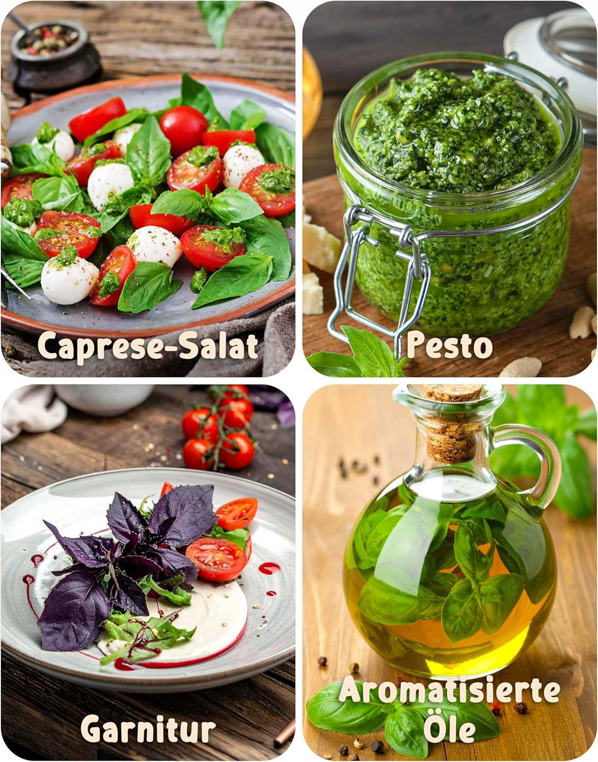 Bio bazsalikommagok 6-6 db-os készletben a könnyű termesztéshez kertben, erkélyen vagy emelt ágyásban - Vetőmagok - Palánták