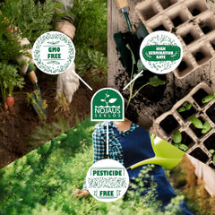 Nojus virágmag készlet - 10 fajta virágmag - Erkélyes virágmag - Színes növényi magvak - 10 csomag - Vadvirágmagok - Virágmag tasakok - Ideális virágmag ajándék