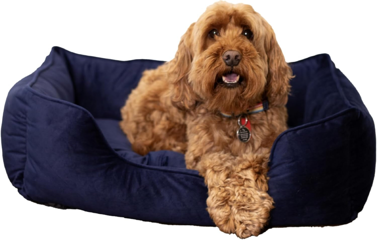 Paturi & Canapele, Pături & Mobilier, Animale de companie, Pisici, Paturi pentru pisici, Pisici - culcusuri, saltele