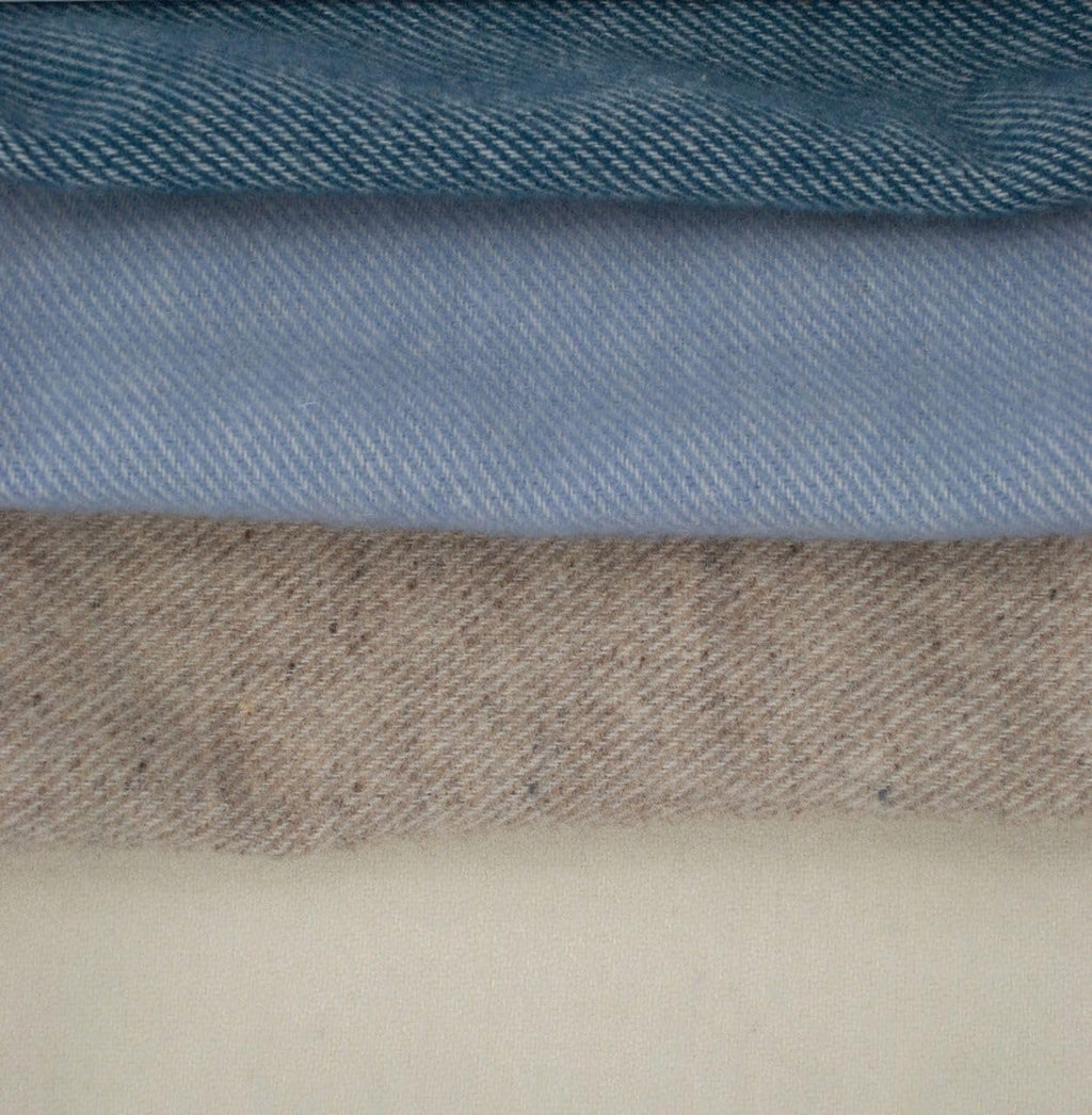 Toison D'Or Bizet, 240 X 260 Cm Plapumi si pilote Naty Shop