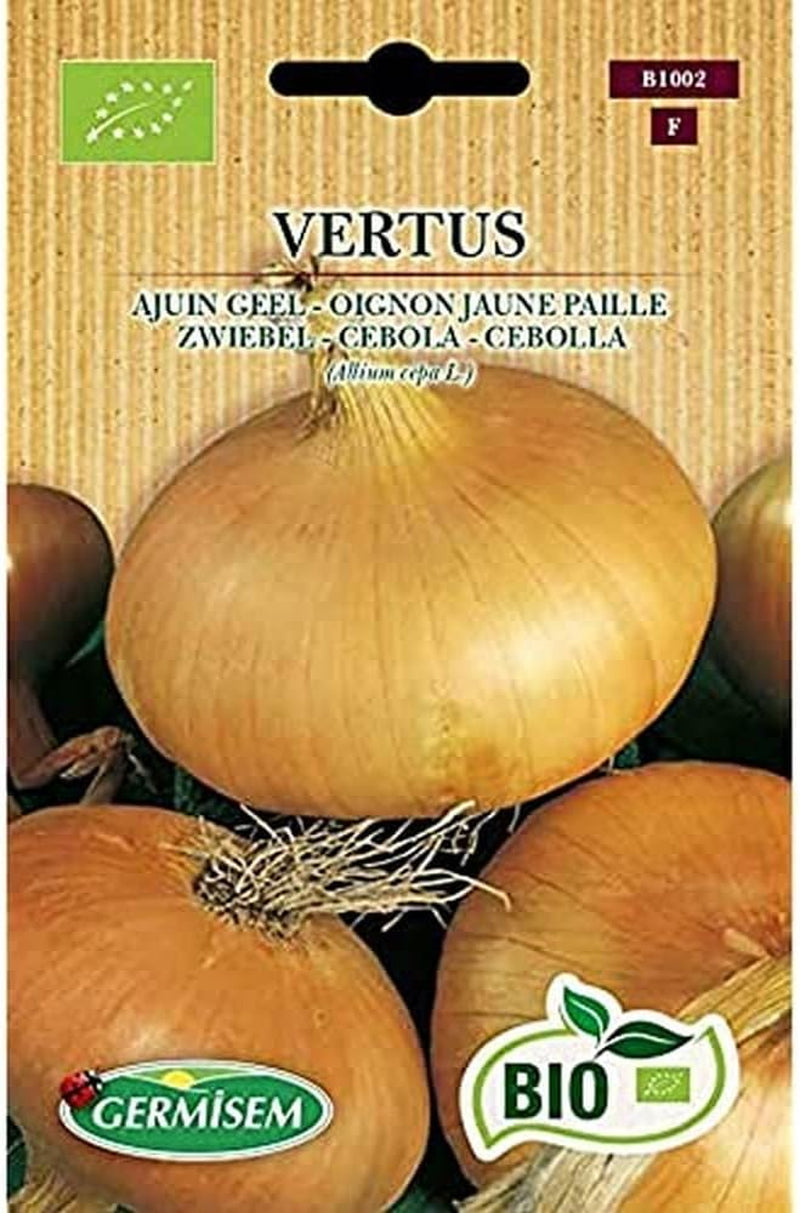 Zwiebel VERTUS, ECBIO1002