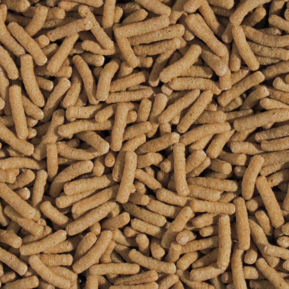 Búzacsíra és fokhagyma rudak KOI&Goldfish 5L / 430g - Tavi haleledel koihalak napi etetésére széles hőmérsékleti tartományban 8-30°C között