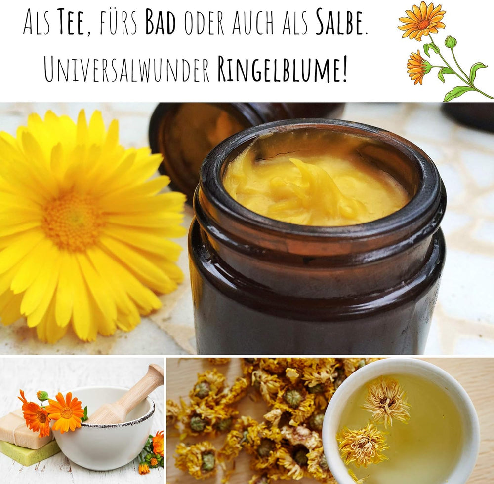 Körömvirágmag (Calendula officinalis) - Sokoldalú gyógynövény ehető virágokkal, ideális színes virágos réthez (Abendrot)