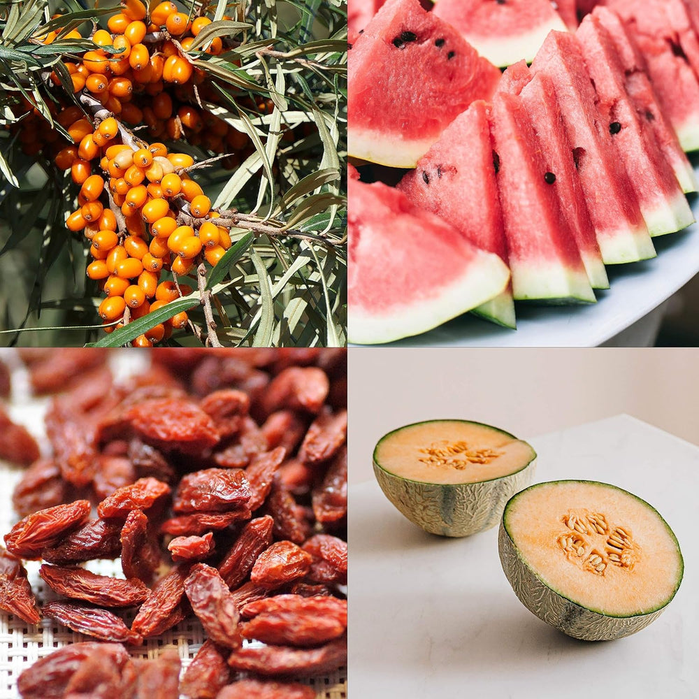 Gyümölcsmag szett: Prémium kerti magvak 8 fajta gyümölcsnövénnyel kertre és erkélyre - görögdinnye magok, epermagok, egres, rebarbara és még sok más - gyümölcsmag ajándékkészlet az OwnGrown-tól