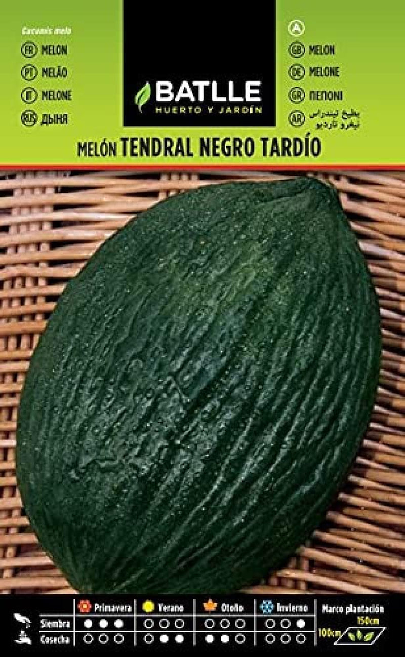 Batlle Gemüsesamen - Honigmelone Charentais (175 Samen)