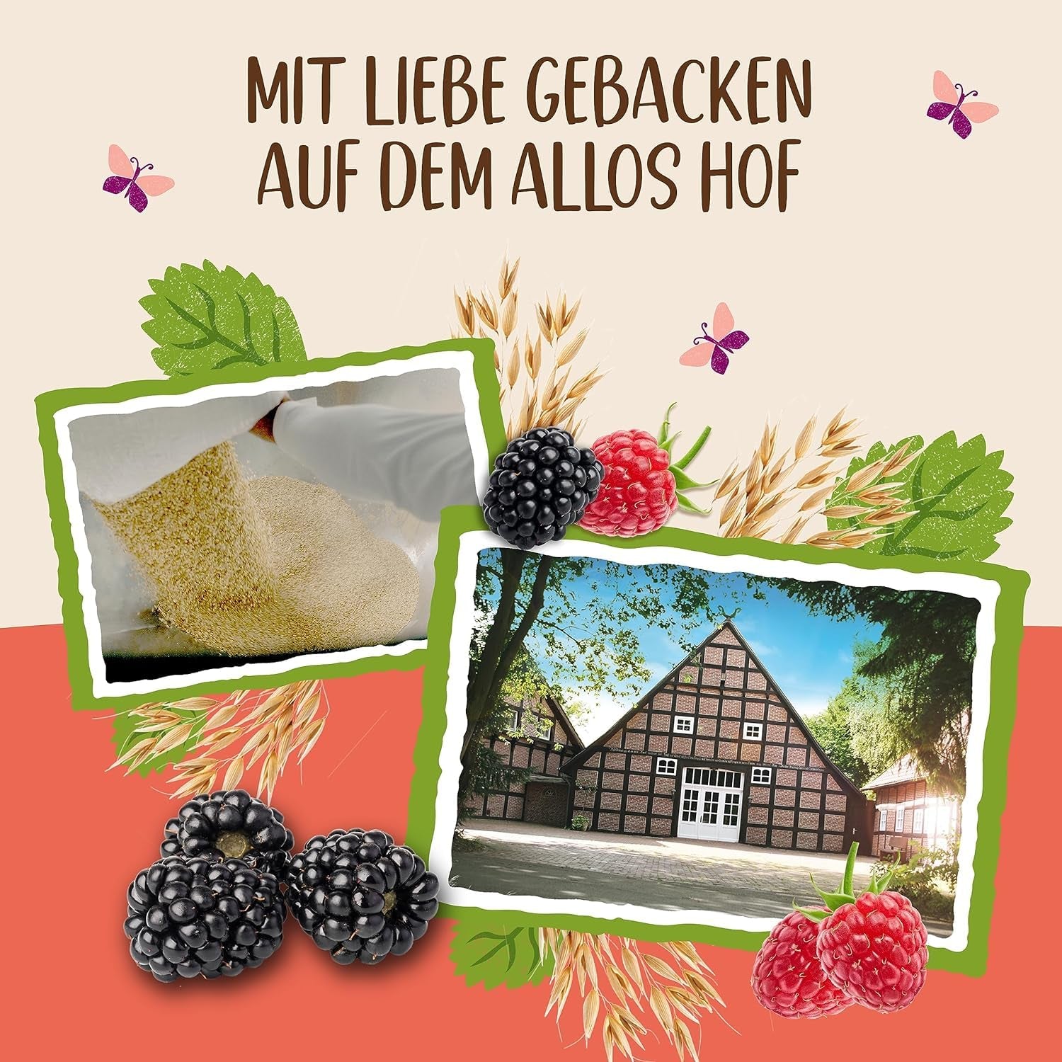 Allos Hof Granola bogyós gyümölcsökkel | Bio müzli | Müzli bogyókkal | Ropogós müzli | Gabonafélék reggelire | 6 db-os kiszerelés (6 x 300g), 1 db (6 db-os csomag)