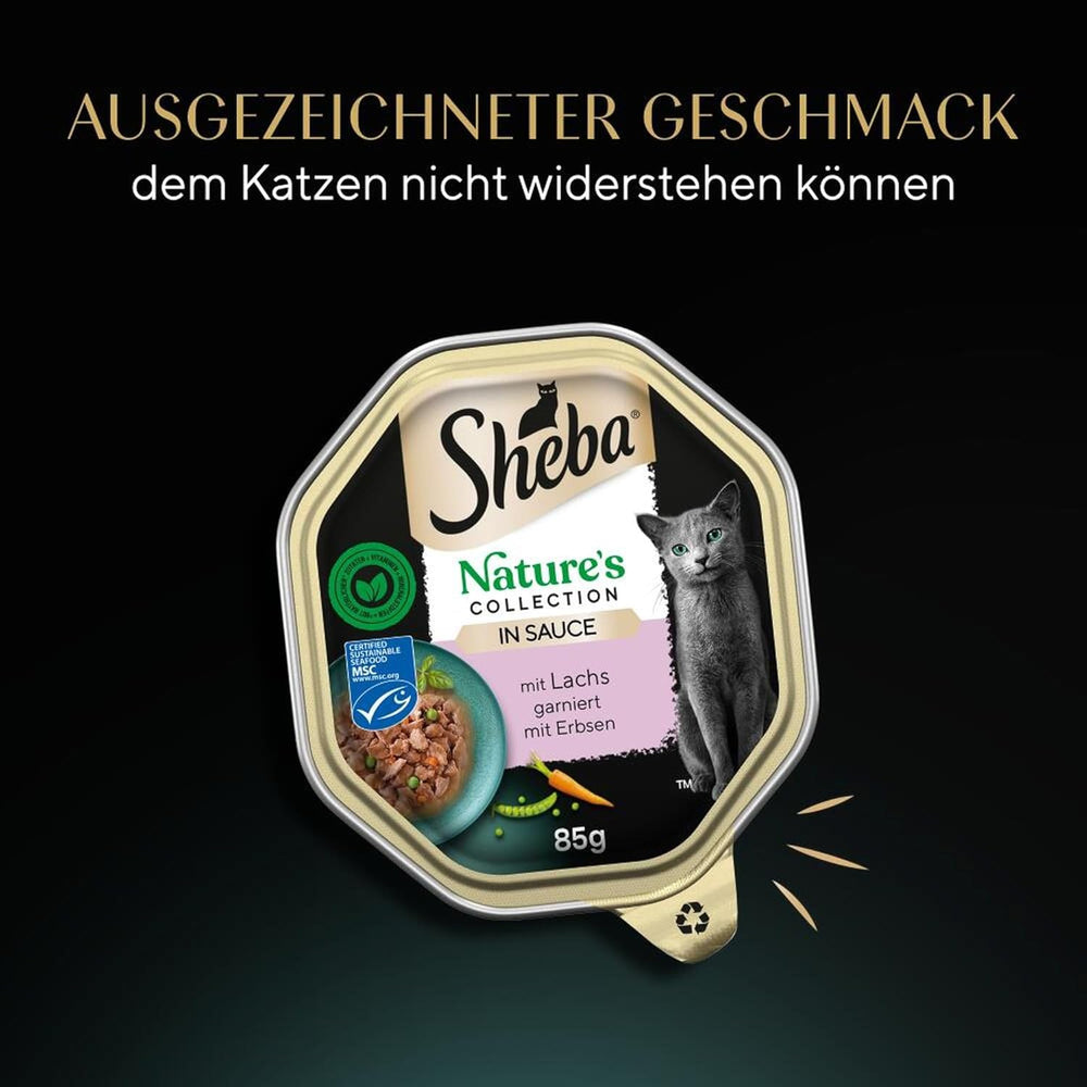 Hrană umedă pentru pisici SHEBA, Colecția Nature's în sos cu somon, 2 x 11 x 85g