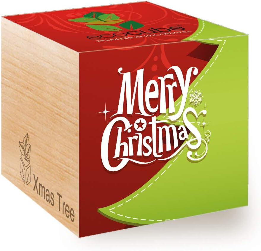 Feel Green Ecocube Weihnachtsbaum/Xmas Tree, Nachhaltige Geschenkidee (100% Eco Friendly), Grow Your Own/Anzuchtset, Pflanzen Im Holzwürfel, Made in Austria