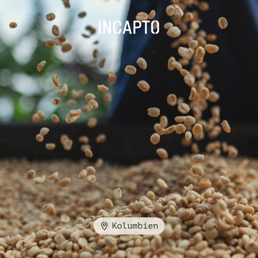 Incapto Spezialitäten-Kaffeebohnen | Single-Origin Kolumbien | Espresso 100% Arabica | Specialty Coffee 84 Punkte SCA | Traditionell Geröstete Bohnenkaffee | Plantage Huila, Cadefihuila, 1kg