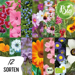 Bio virágmag készlet | 12 fajta virágmag | Prémium virágmagok | Vadvirágmag növény magkészlet | Flower seeds | Virágmagok az erkélyre | Ideális ajándék virágmaggal