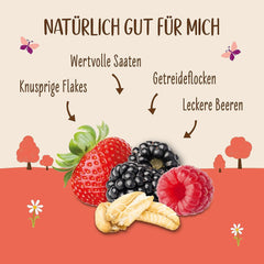 Allos Hof Granola bogyós gyümölcsökkel | Bio müzli | Müzli bogyókkal | Ropogós müzli | Gabonafélék reggelire | 6 db-os kiszerelés (6 x 300g), 1 db (6 db-os csomag)