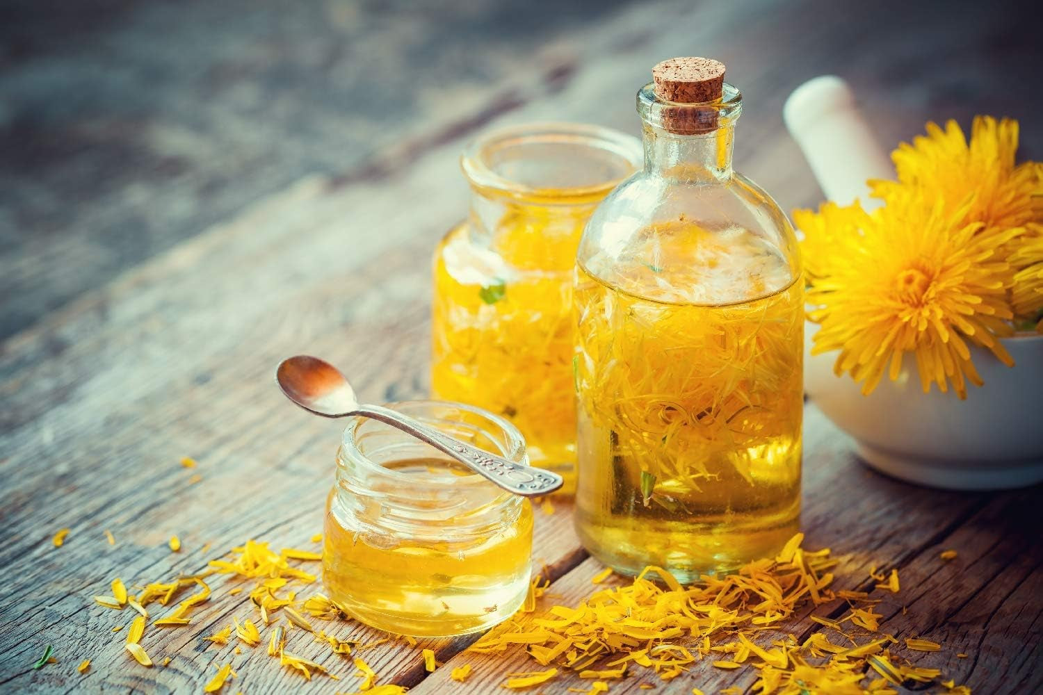 SAFLAX - BIO - Pitypang - 400 mag - Taraxacum officinale