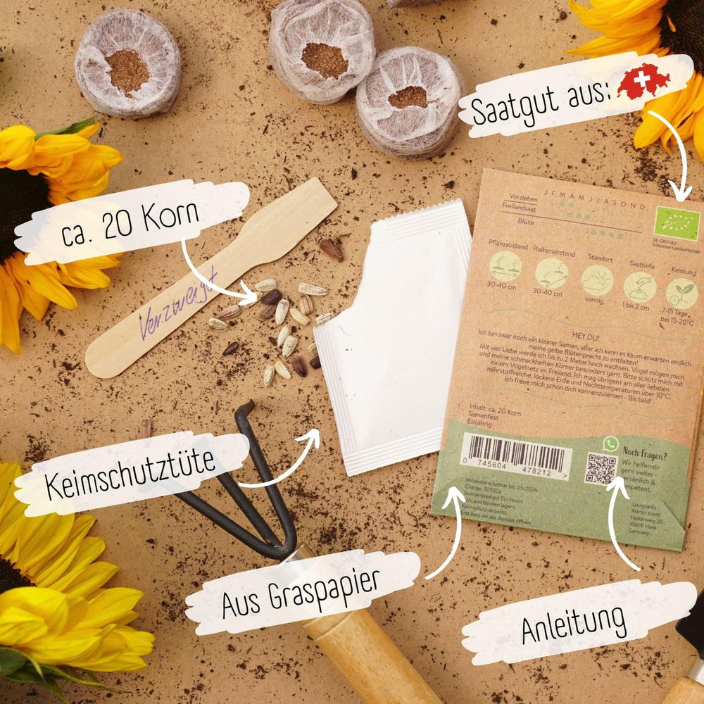 Bio napraforgómag, elágazó, 20 db magas csírázási arányú napraforgómag, napraforgómag kertbe, erkélyre, virágágyásra vagy vendégajándékba. Ingyenes beporzású virágmag.