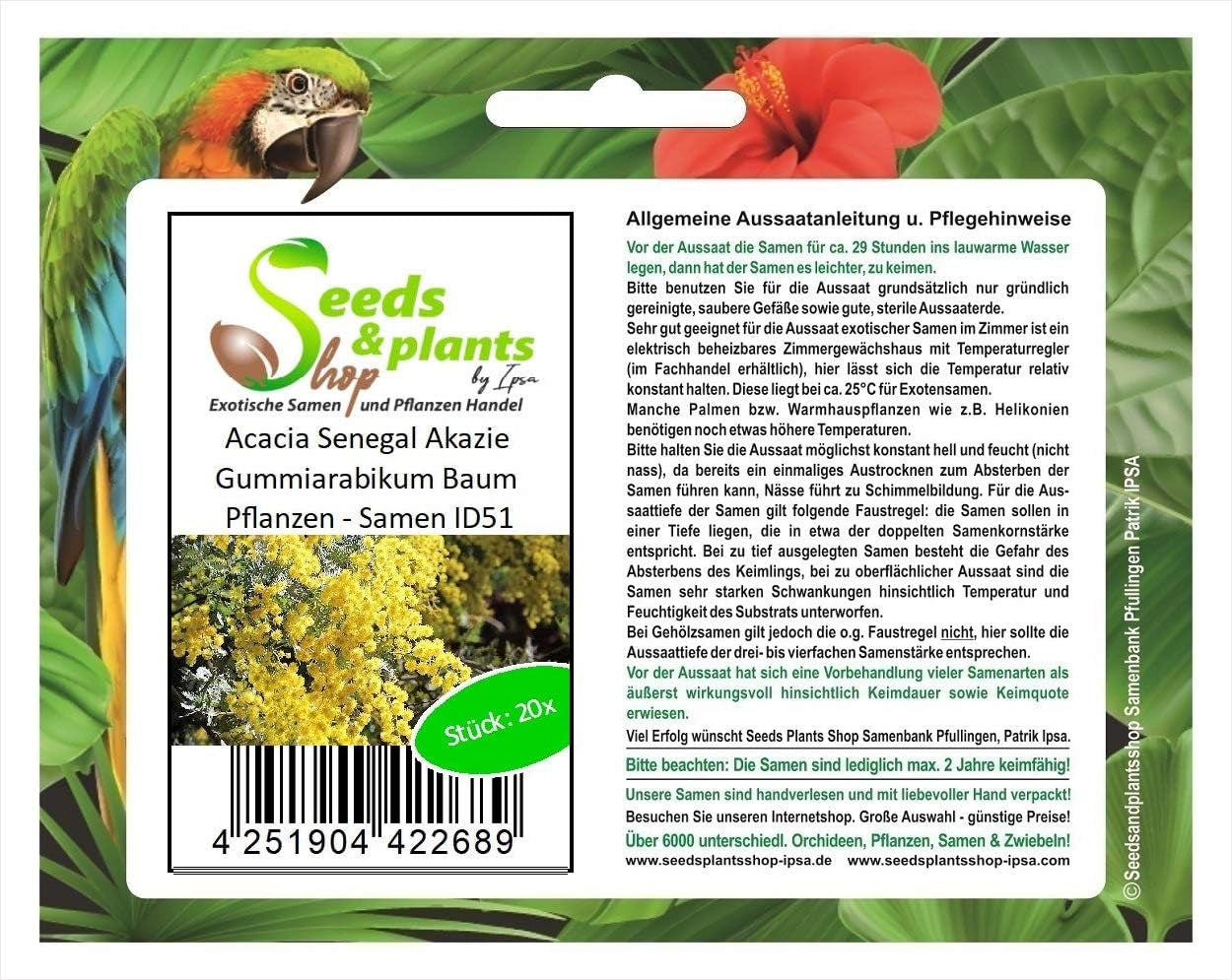 Stk - 20X Acacia Senegal Akazie Gummiarabikum Baum Pflanzen - Samen ID51 -