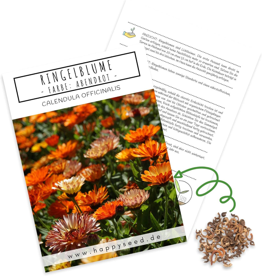 Körömvirágmag (Calendula officinalis) - Sokoldalú gyógynövény ehető virágokkal, ideális színes virágos réthez (Abendrot)